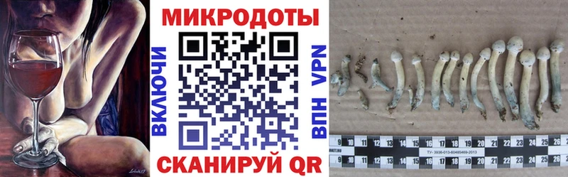 Галлюциногенные грибы Cubensis  Касли 